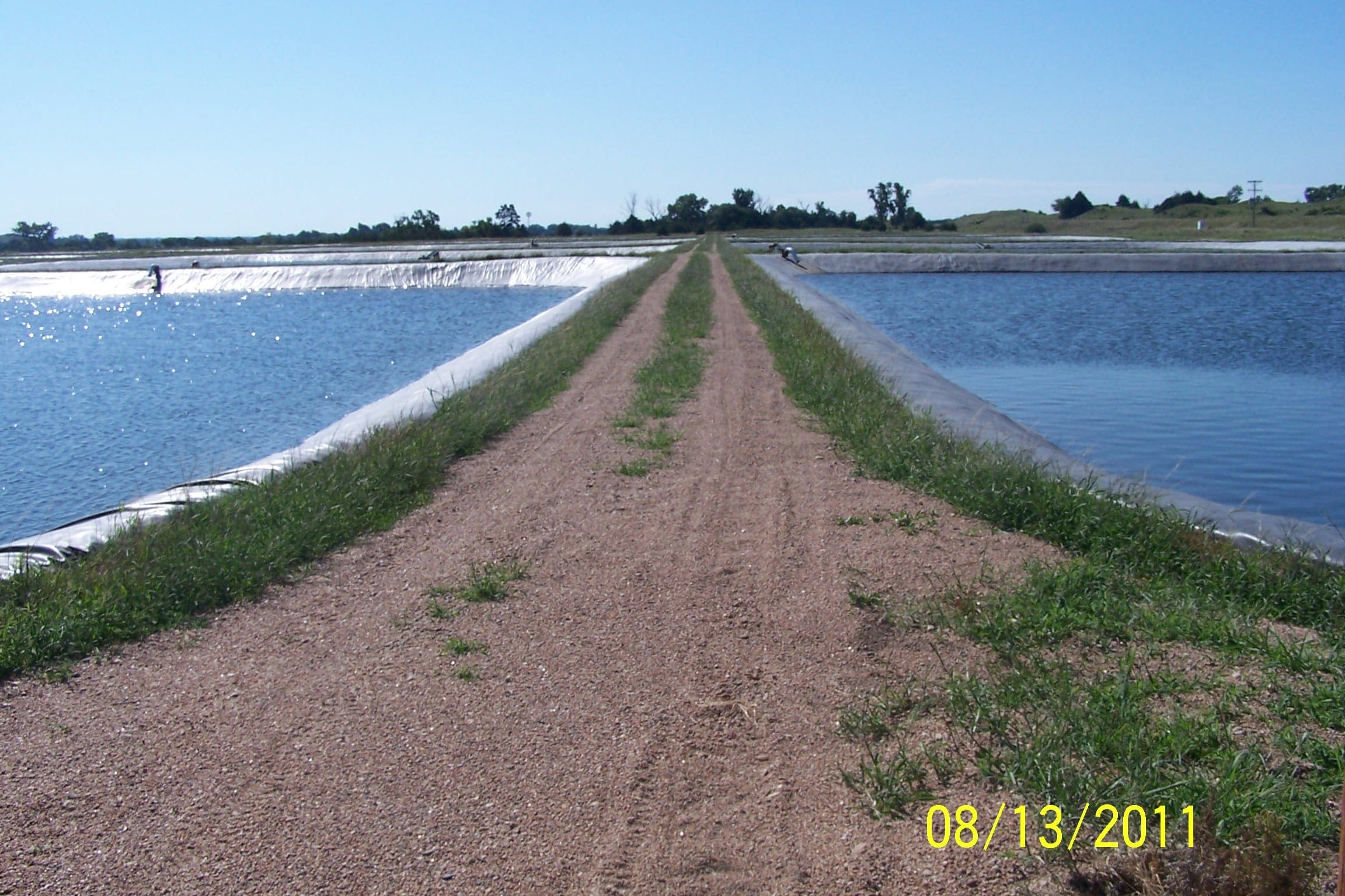 Calamus_fish_hatchery_053