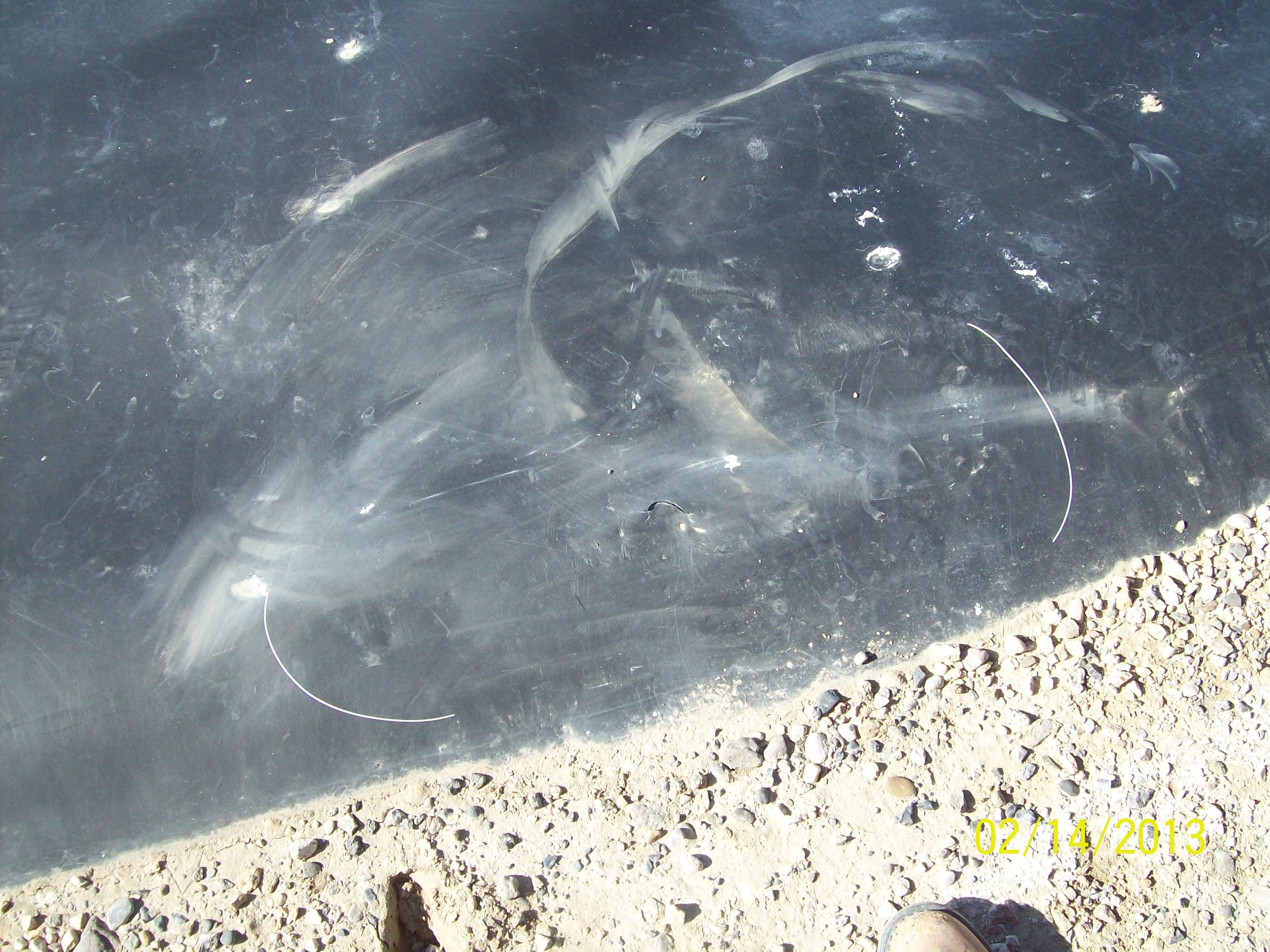 4melba_wwtp_pond_repair_2-14-13