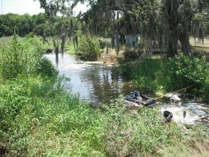 Downstream - BEFORE