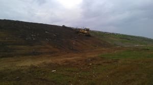 IMAG0656