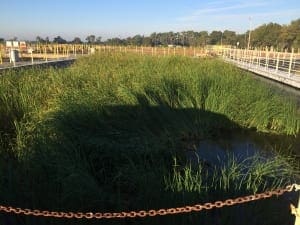 IMG_1366