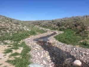 IMG_0753