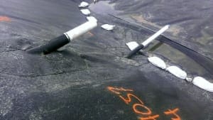 Florida Farm Pond Liner (3)