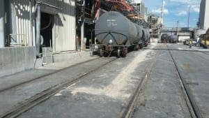 Simplot Don Plant (7)