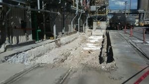 Simplot Don Plant (8)