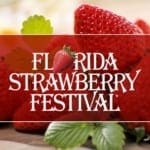 Florida Strawberry Festival 2019 - COMANCO