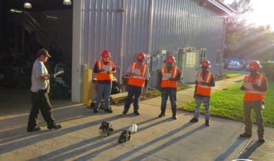 Blog-Post-September-20-2019-New-Hires-3-COMANCO-400x235.jpg