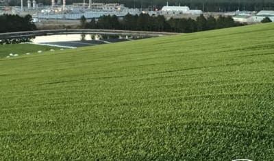 Blog-Post-MI-Update-November-2019-7-COMANCO-400x235.jpg