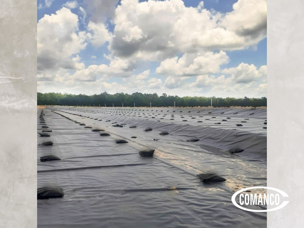 01-COMANCO-Aucilla-SWA-LF-Cell-4-Expansion-Ph1A-Blog.jpg
