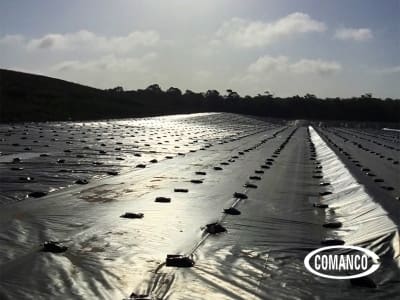 03-COMANCO-Rain-Tarp-Blog-400x300.jpg