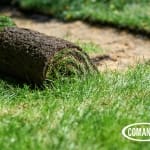 Image: Choosing the Right Sod Roll Equipment