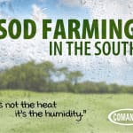 Sod Farming in the South with Thick Air and Thicker Turf