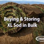 Buying and Storing XL Sod in Bulk? Protect It with the Right Tubes